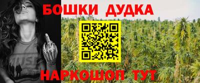 стафф Новозыбков